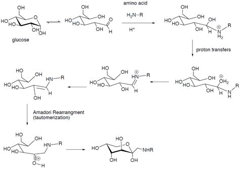 1 12 Bread Chemistry Libretexts