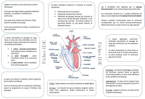 1 Schema Structurant Fiches IDE