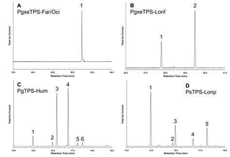 Gcms Total Ion Chromatogram Of Products Formed By The Sesquiterpene Download Scientific Diagram