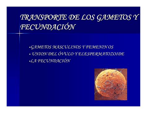 Transporte De Los Gametos Y Fecundaci N