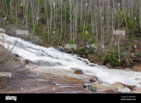 Thoreau Falls On The North Fork Of The Pemigewasset River In The