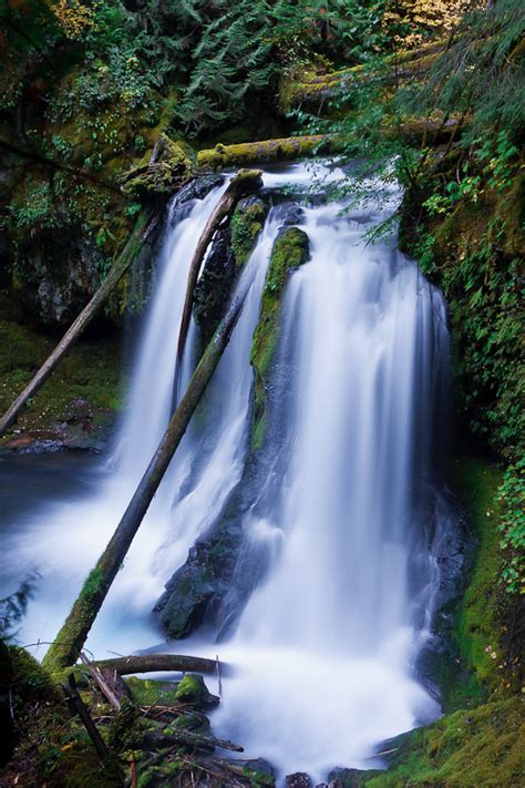 Panther Creek Falls, Skamania County, Washington - Northwest Waterfall ...