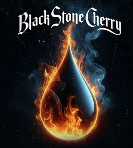 BLACK STONE CHERRY DEUTSCHLAND TOUR 2024 Metalinside Das Rock Und