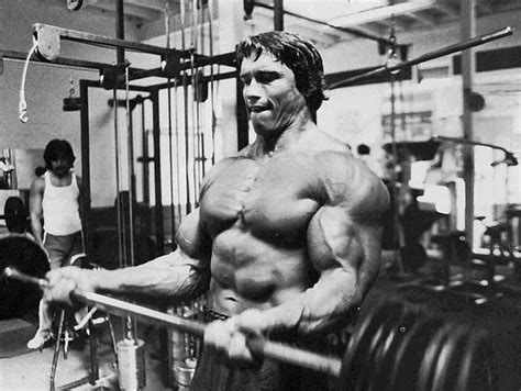 Arnold Schwarzenegger Bodybuilding - Picture Celebrity