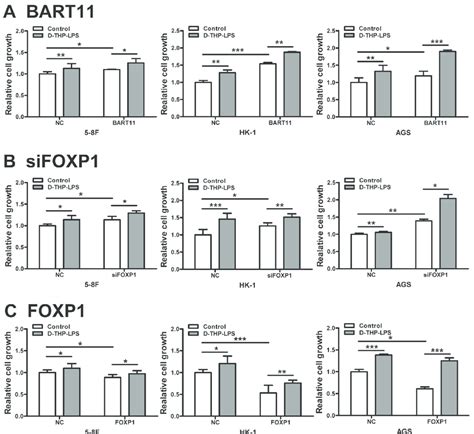 Effect Of EBV MiR BART11 And FOXP1 On Inflammation Induced Cancer Cell