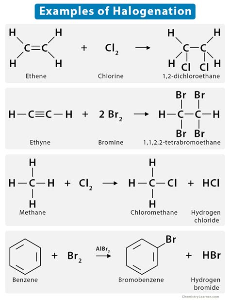 Halogenation Definition Examples And Mechanism