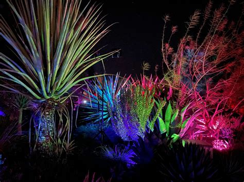 Garden Of D'Lights 2024 At Ruth Bancroft Garden