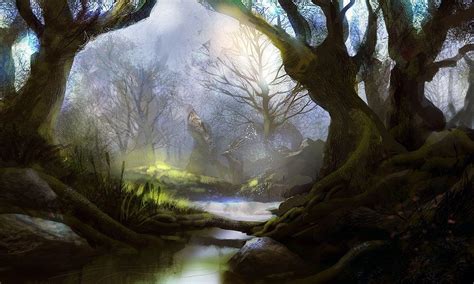 Mystical Forest Wallpapers Top Free Mystical Forest Backgrounds