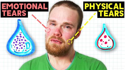 Why Do We Cry The Science Of Tears And Emotions Schooltube