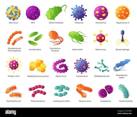 Disease causing microorganism Cut Out Stock Images & Pictures - Alamy