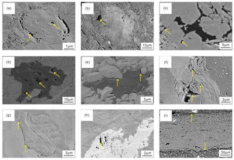 Minerals Free Full Text Lithofacies Characteristics And Sweet Spot