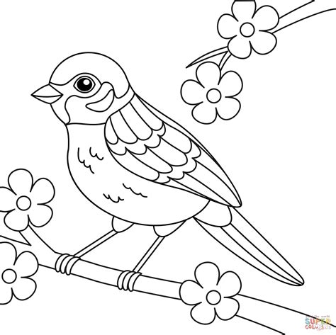 Sparrow Coloring Page Free Printable Coloring Pages