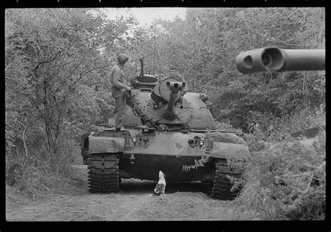 Guantanamo Bay Naval Base Cuba Tank W Dog Library Of Congress