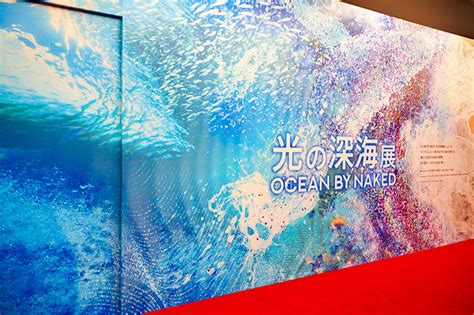 横浜に光の海が誕生新感覚の没入型デジタルアートOCEAN BY NAKED 光の深海展 ことりっぷ