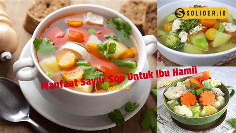 Temukan Manfaat Sayur Sop Untuk Ibu Hamil Yang Jarang Diketahui Solider