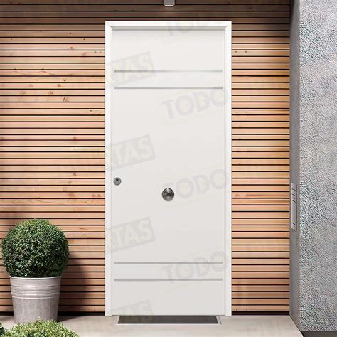 Puerta Galvanizada 1150 1110 Saga 100 Blanca Cara Interior Lisa