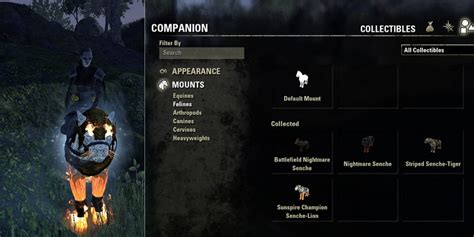 The Elder Scrolls Online: Everything You Need To Know About Companions