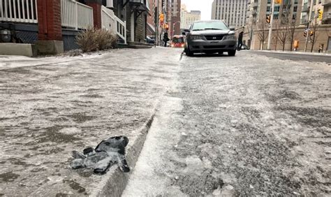 Ottawa's April 2018 ice storm in pictures and video | CBC News