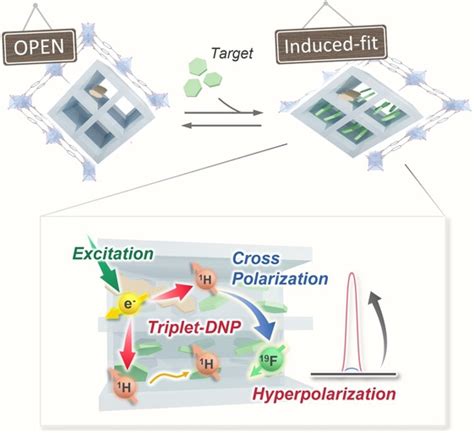 Triplet Dynamic Nuclear Polarization Of Guest Molecules Through Induced