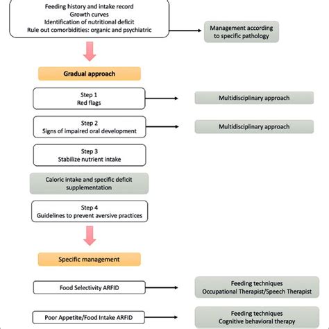 Flow Diagram Of Approach And Management Of Avoidant Restrictive Food