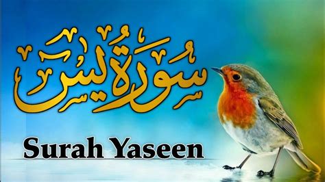 Surah Yasin Yaseen Full With Arabic Beautiful Recitation Qari