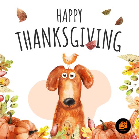 Thanksgiving Dog GIFs | GIFDB.com