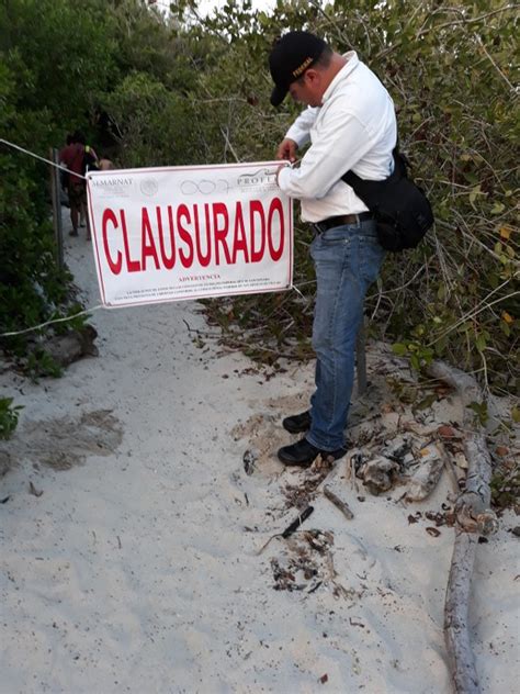 Clausura Profepa Camino Usado Por Surfistas Por Afectaci N De Sistema