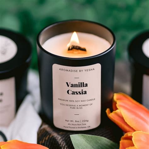 Pet Safe Candles Coconut - Etsy