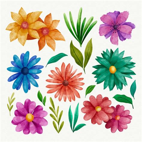 Colección de flores pintadas a mano Vector Gratis