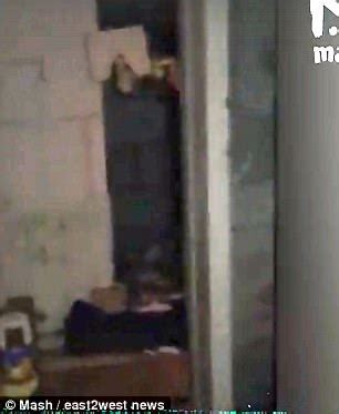 Russian Woman Kept As Prisoner Sex Slave For Years Daily Mail