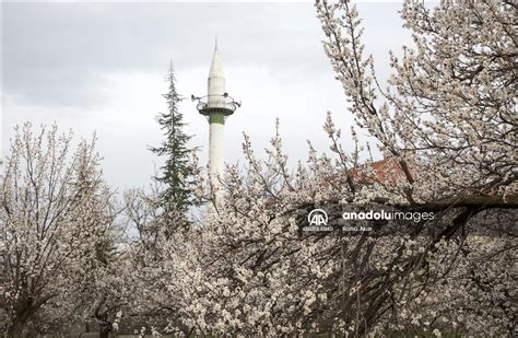 Malatya N N Ye Ilyurt Il Esinde Kay S A A Lar I Ek A T Anadolu Ajans