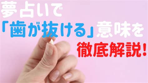 夢占いで「歯が抜ける」5つの意味を私の感想と共に徹底解説！ 電話占い当たるちゃん By セレーネ