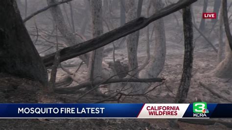 Mosquito Fire grows to more than 33,000 acres