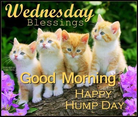 Wednesday Blessings Good Morning Happy Hump Day Pictures Photos And