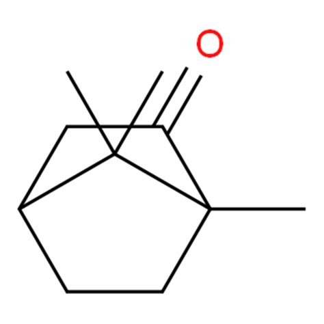 Камфора – Telegraph