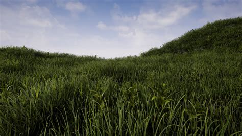 Nicole Sochor Realistic Grass In Unreal Engine 4