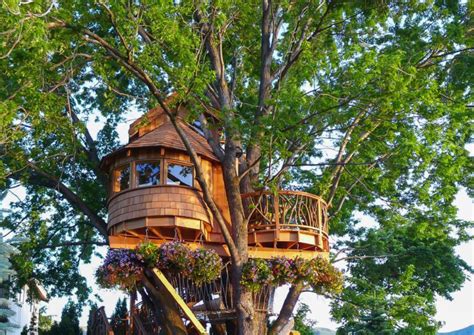 Tree House With A Great View Life Tiny House