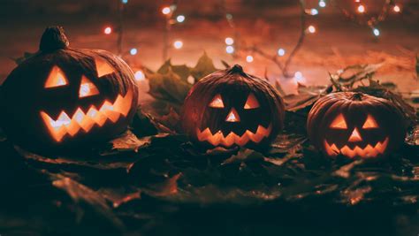 Halloween Confira Mitos E Verdades Sobre O Dia Das Bruxas Blog Do