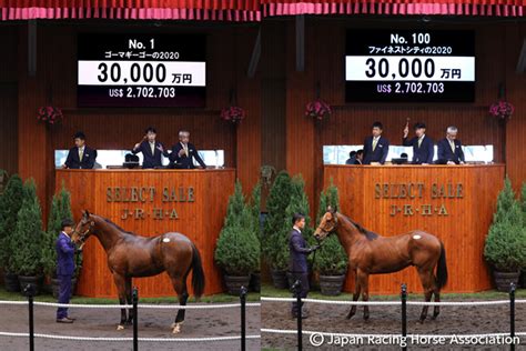 Jra Van公式 On Twitter 【セレクトセール 2021】1日目の結果 「1億円以上の取引馬は28頭を数えただけでなく、総