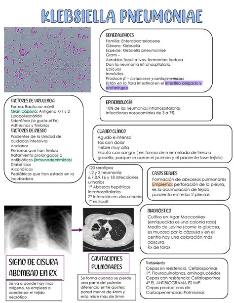 Klebsiella Pneumoniae Familia Enterobacteriaceae G Nero Klebsiella