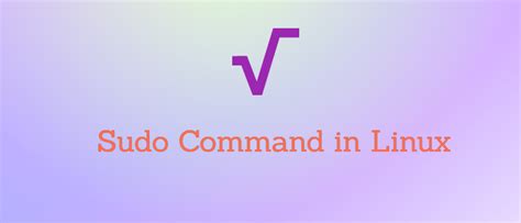 Sudo Command In Linux Explained With Examples