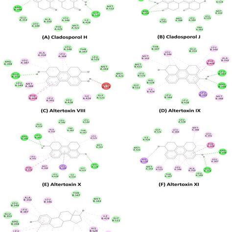 Non Bonding Interaction Of The Potential Bioactive Compounds Extracted Download Scientific