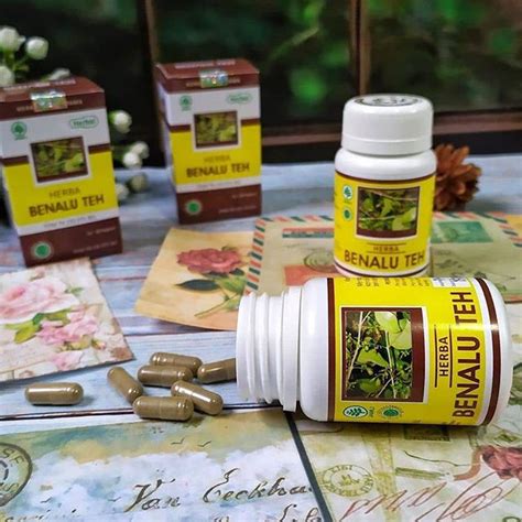 Jual Obat Kanker Hiu Benalu Teh Kapsul Sebagai Obat Herbal Alami Anti