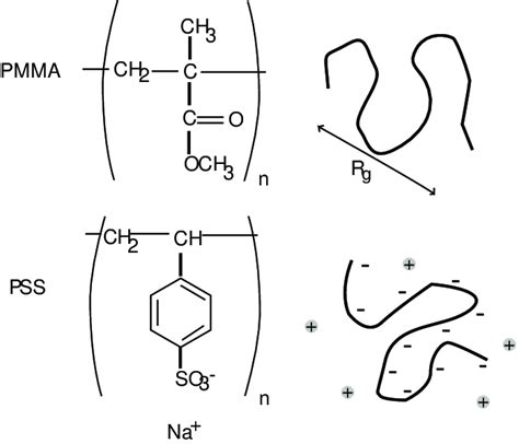 1 Illustration Of Polymethyl Methacrylate Pmma And Sodium