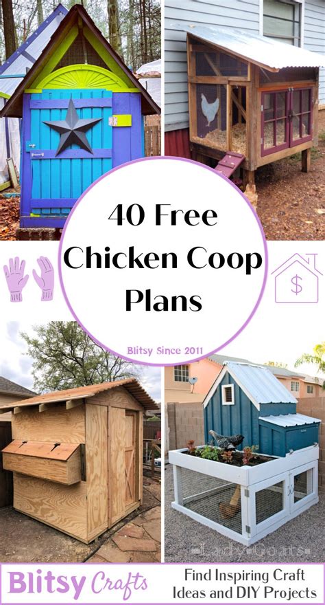 40 DIY Chicken Coop Plans (Ultimate Guide) - Blitsy