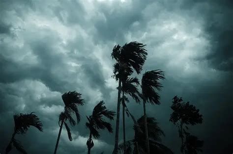 Wind Storm Pictures | Download Free Images on Unsplash