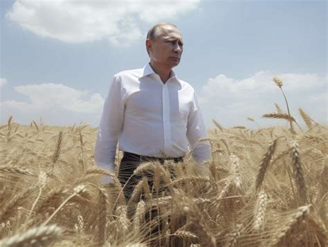 Vladimir Putin In Un Campo Di Grano Immagine Creata Con Midjourney