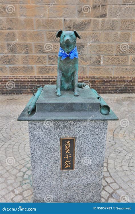 Cerca Del Canal De Otaru Bunkou O Bunchan Perro Valiente Foto De