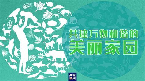 “共建万物和谐的美丽家园”，习近平首次提出这一重大倡议新闻中心中国网