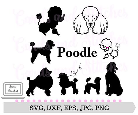 Pudel SVG Pudel Silhouetten Hunde SVG Datei Digital Etsy